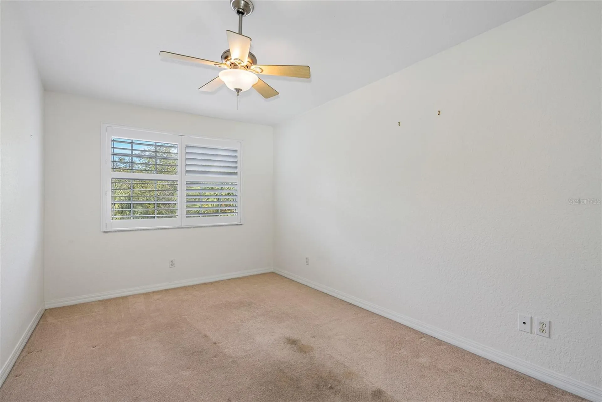 1381 Curlew Road Dunedin FL 34698