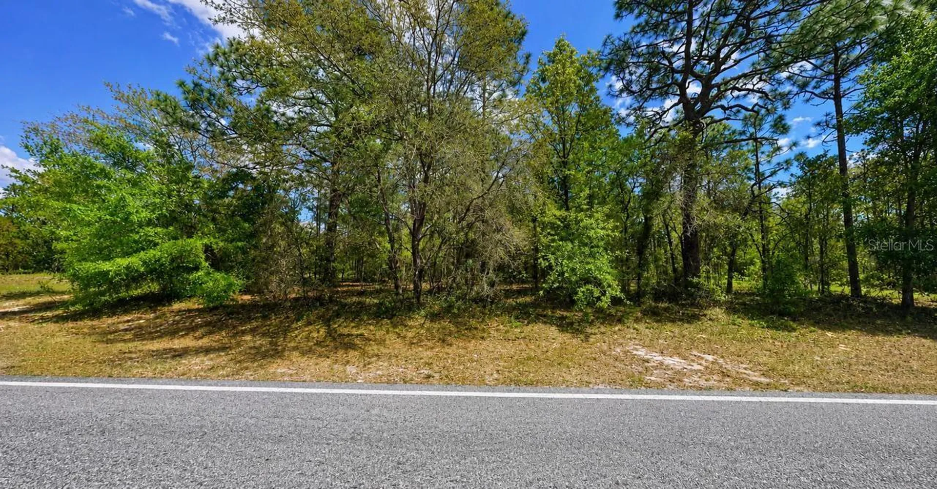 7983 N Santos Drive Citrus Springs FL 34434