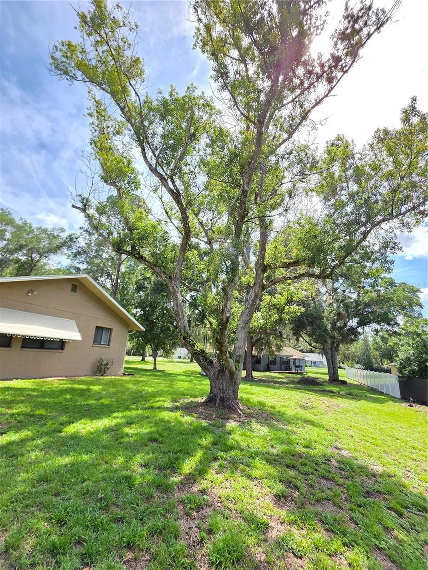 24088 Eppley Drive Brooksville FL 34601