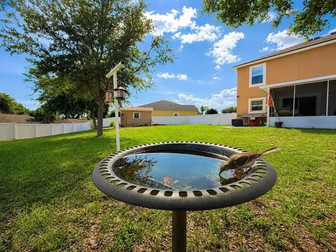 1852 Piedmont Court Mascotte FL 34753