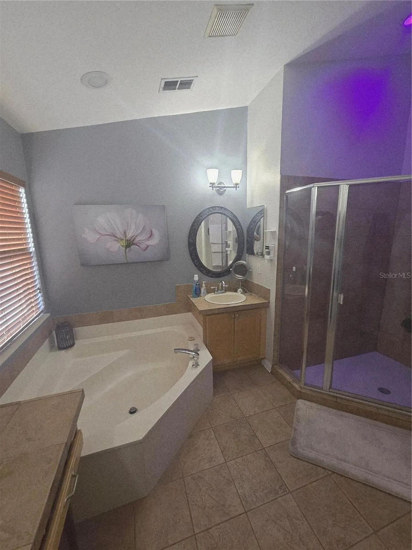 1651 River Birch Avenue Oviedo FL 32765