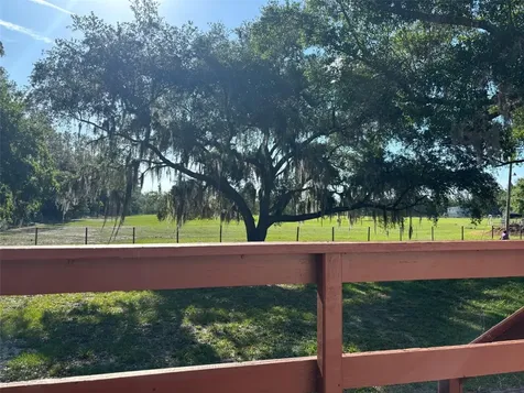 4947 Mitchell Road Land O Lakes FL 34638