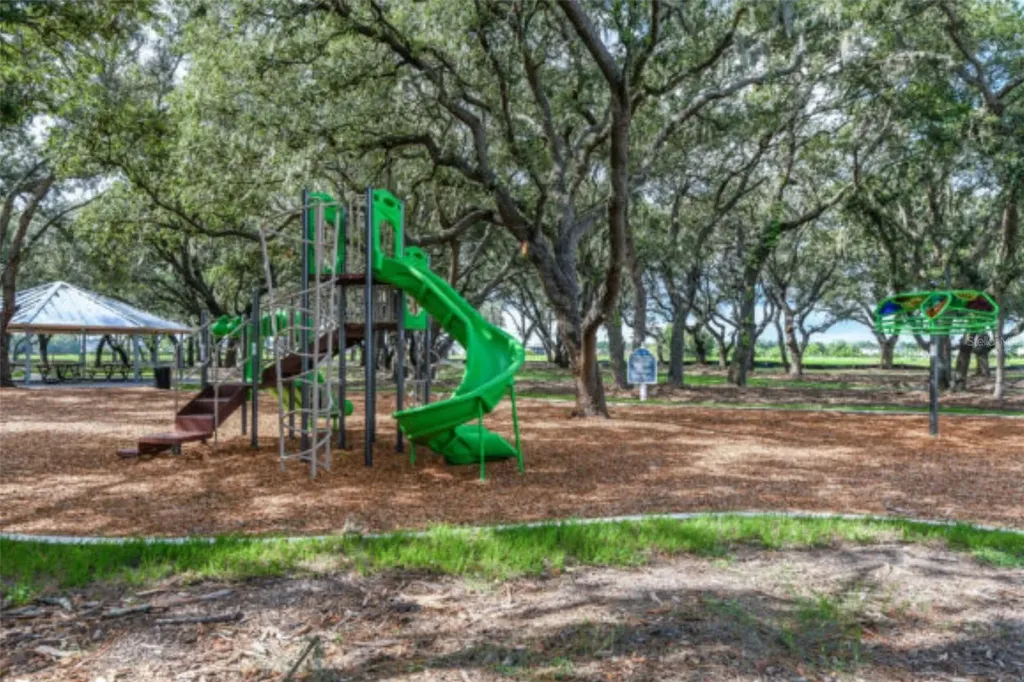 12621 Hammock Park Drive Riverview FL 33579