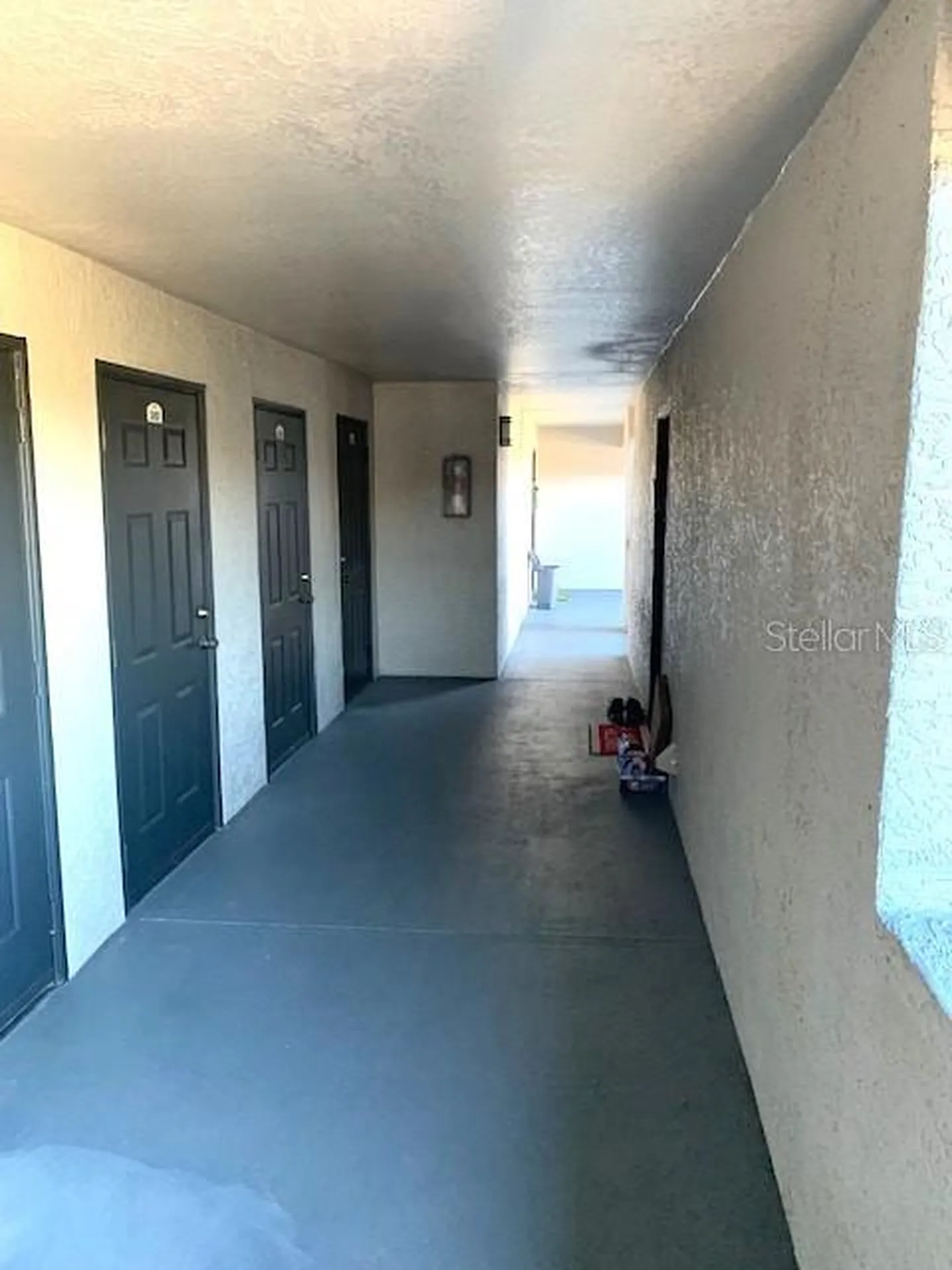 8414 Lucuya Way Temple Terrace FL 33637