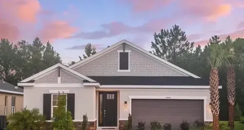 33320 Castaway Loop Wesley Chapel FL 33543