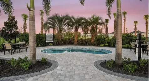 33320 Castaway Loop Wesley Chapel FL 33543