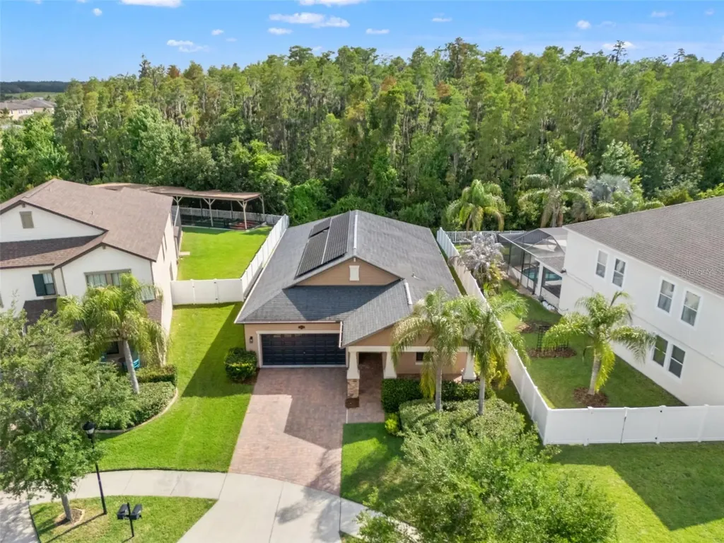 19476 Paddock View Drive Tampa FL 33647