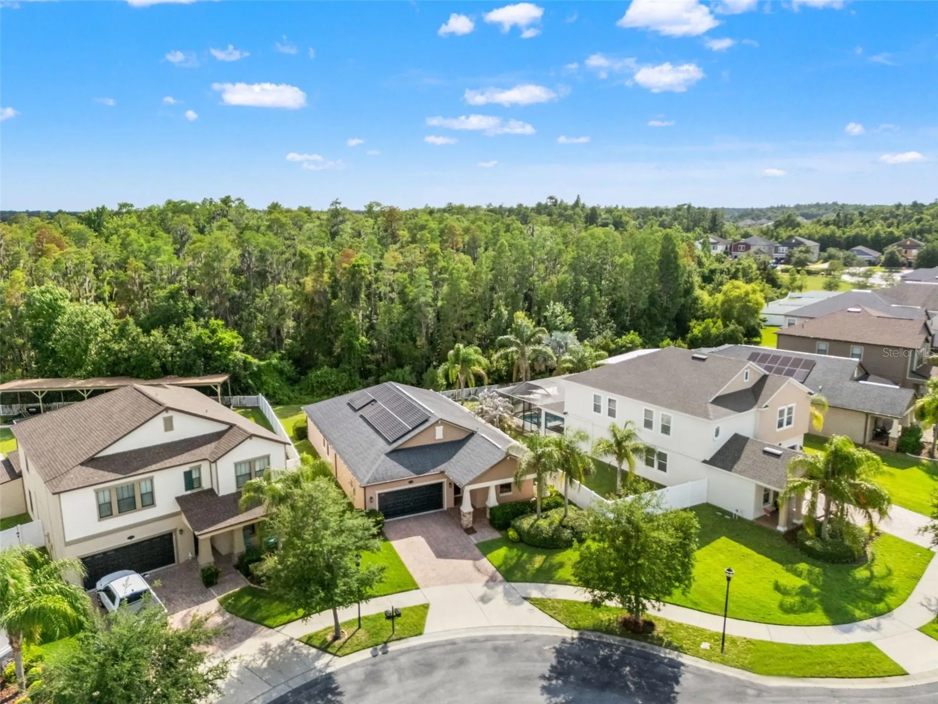 19476 Paddock View Drive Tampa FL 33647