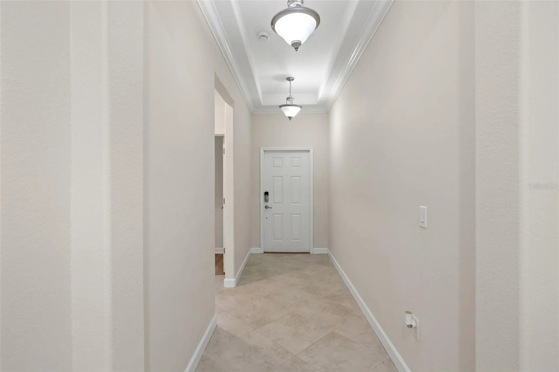 19476 Paddock View Drive Tampa FL 33647