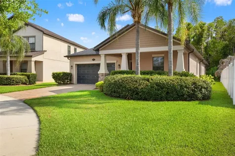 19476 Paddock View Drive Tampa FL 33647