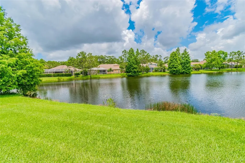 10559 Greencrest Drive Tampa FL 33626