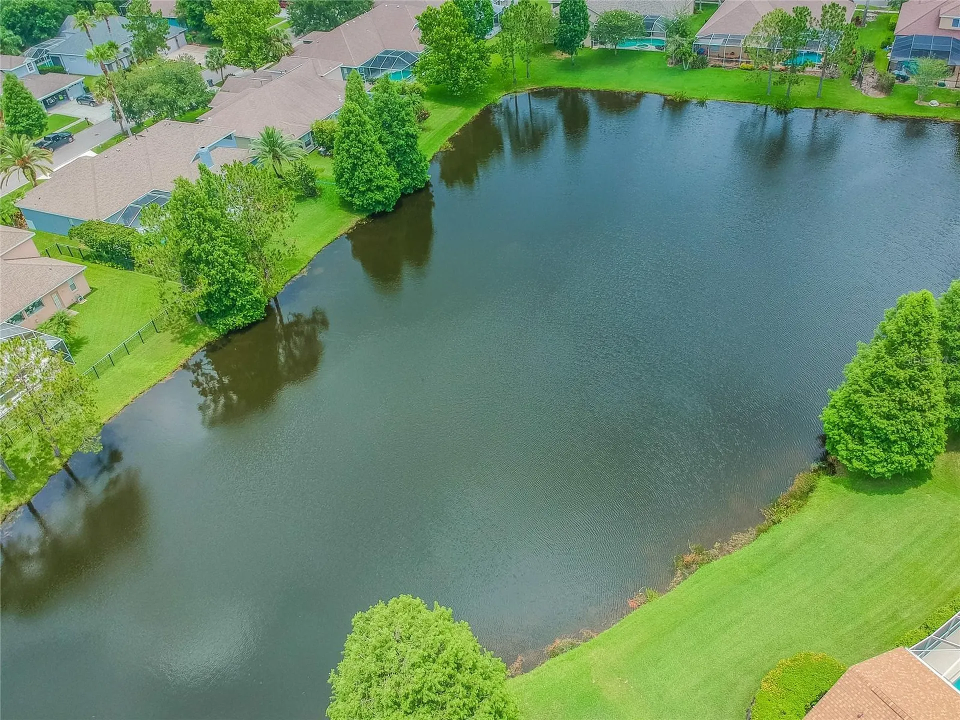 10559 Greencrest Drive Tampa FL 33626