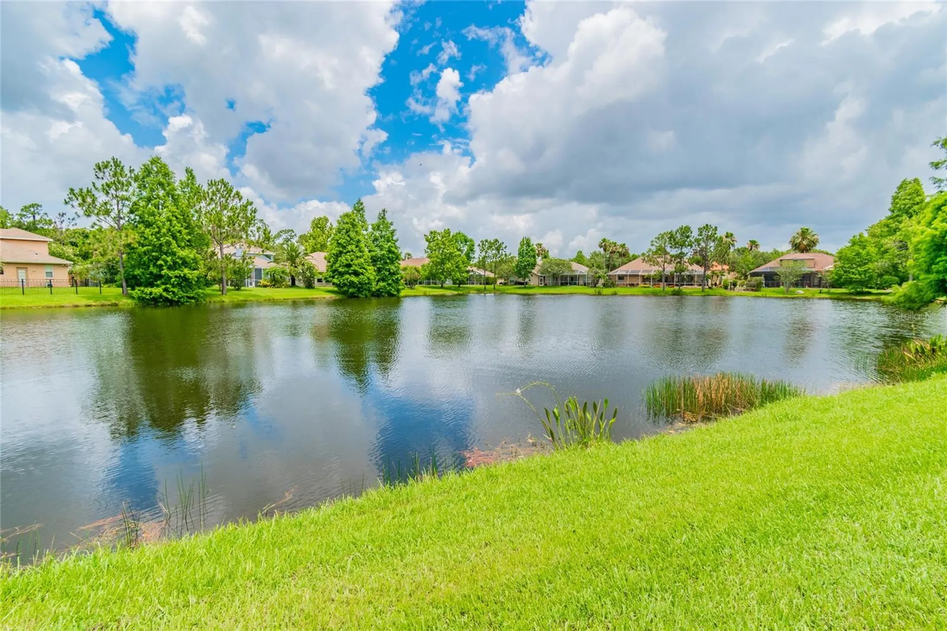 10559 Greencrest Drive Tampa FL 33626