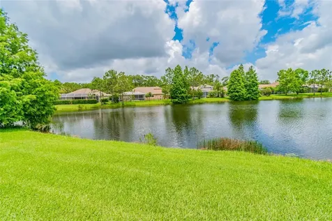 10559 Greencrest Drive Tampa FL 33626