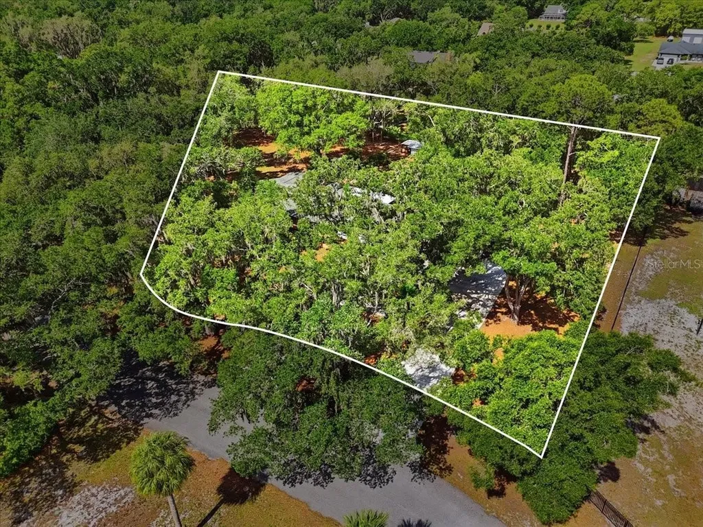 6259 Nelms Road W Lakeland FL 33811