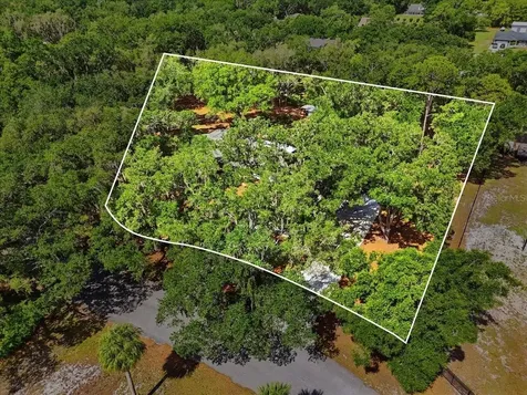 6259 Nelms Road W Lakeland FL 33811