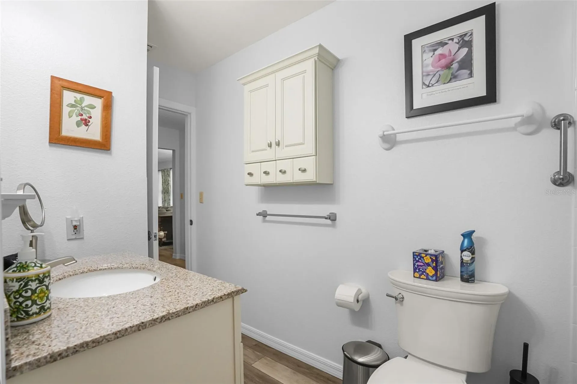 1338 Heim Road Mount Dora FL 32757