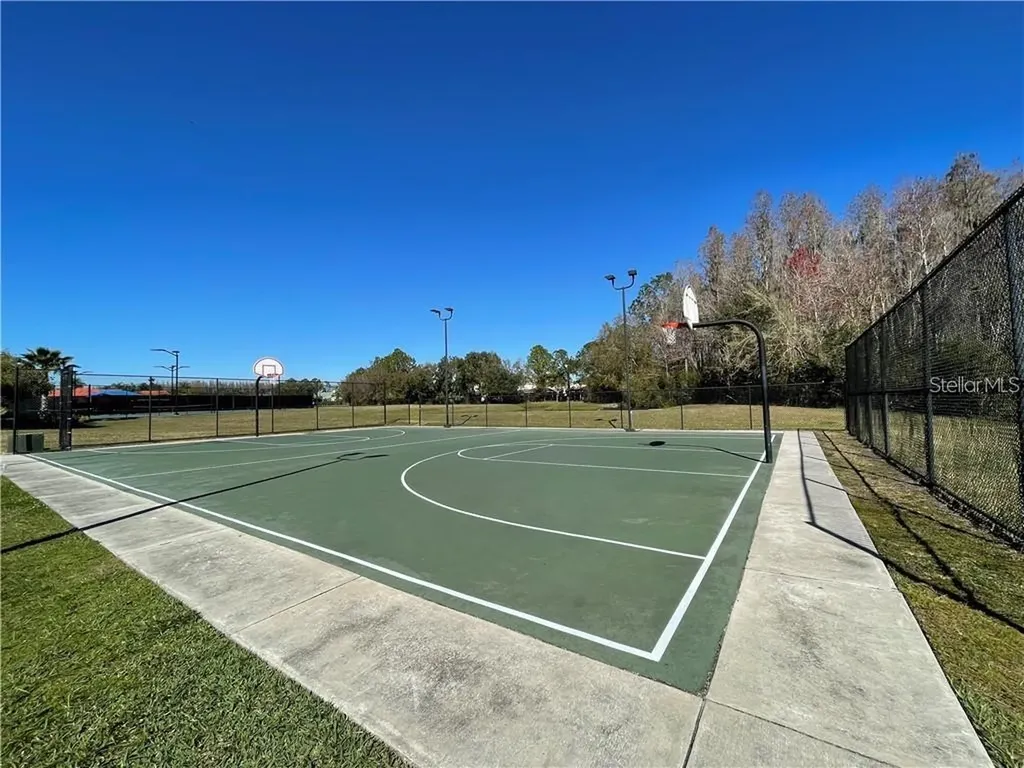 18044 Java Isle Drive Tampa FL 33647