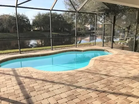 18044 Java Isle Drive Tampa FL 33647