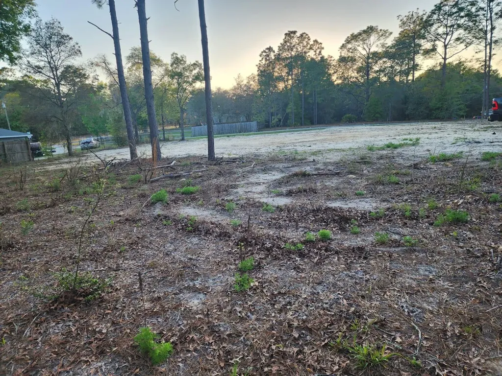 SW 110th Court Dunnellon FL 34432