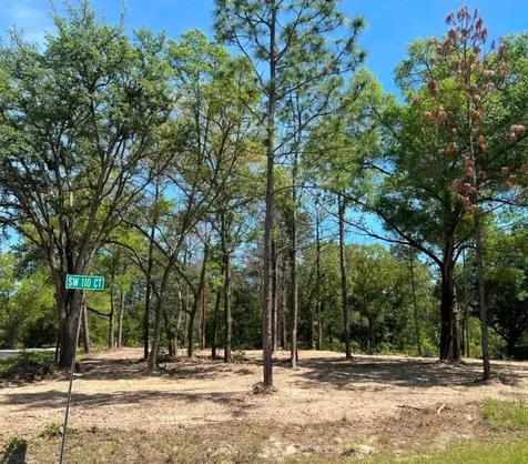 SW 110th Court Dunnellon FL 34432