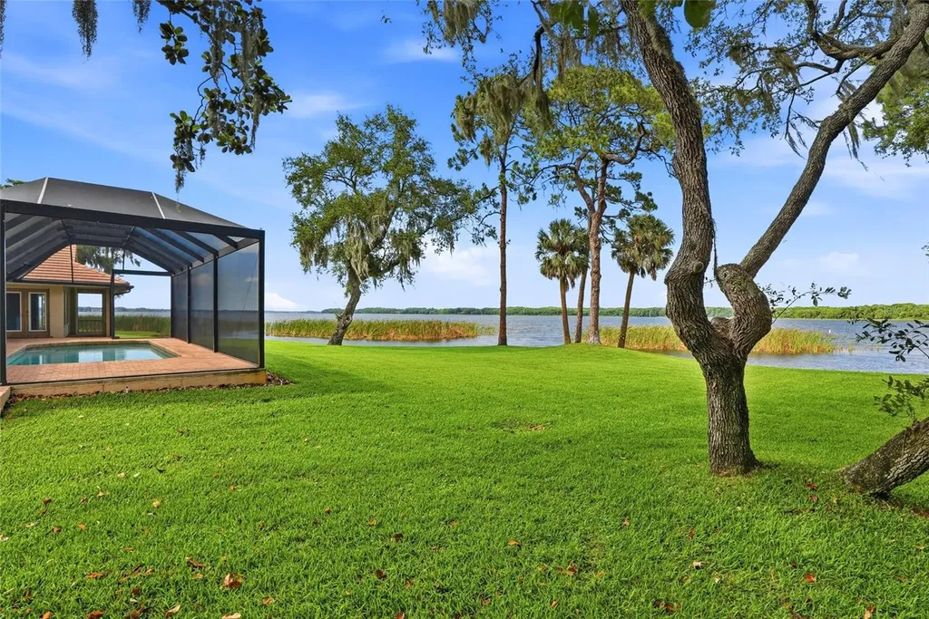 3493 Shoreline Circle Palm Harbor FL 34684