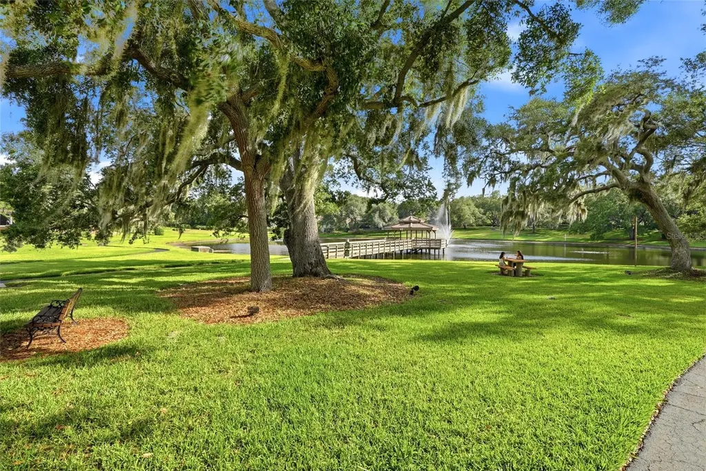 3493 Shoreline Circle Palm Harbor FL 34684