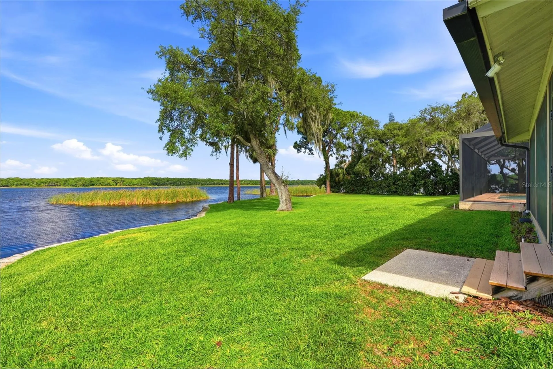 3493 Shoreline Circle Palm Harbor FL 34684