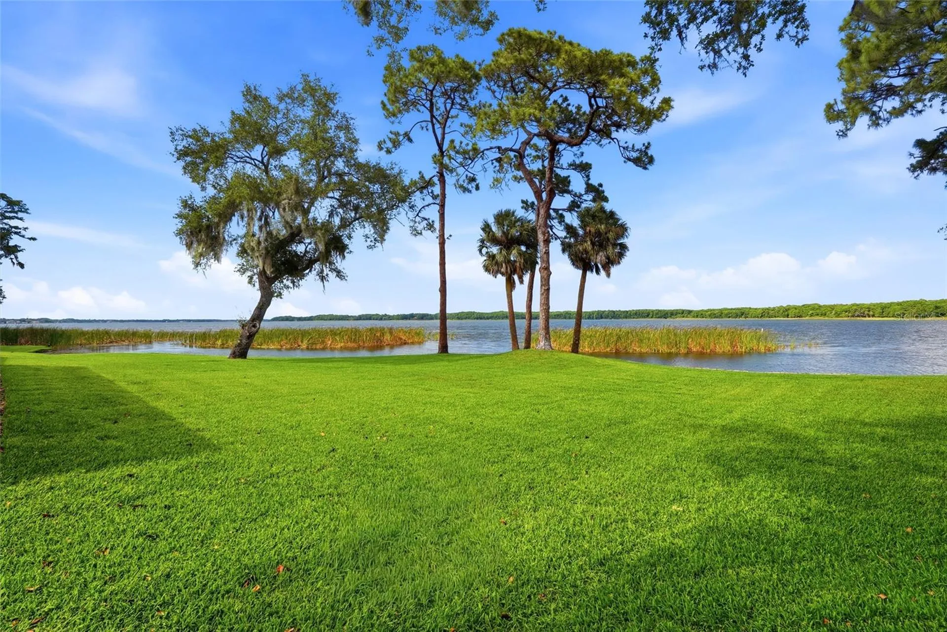 3493 Shoreline Circle Palm Harbor FL 34684