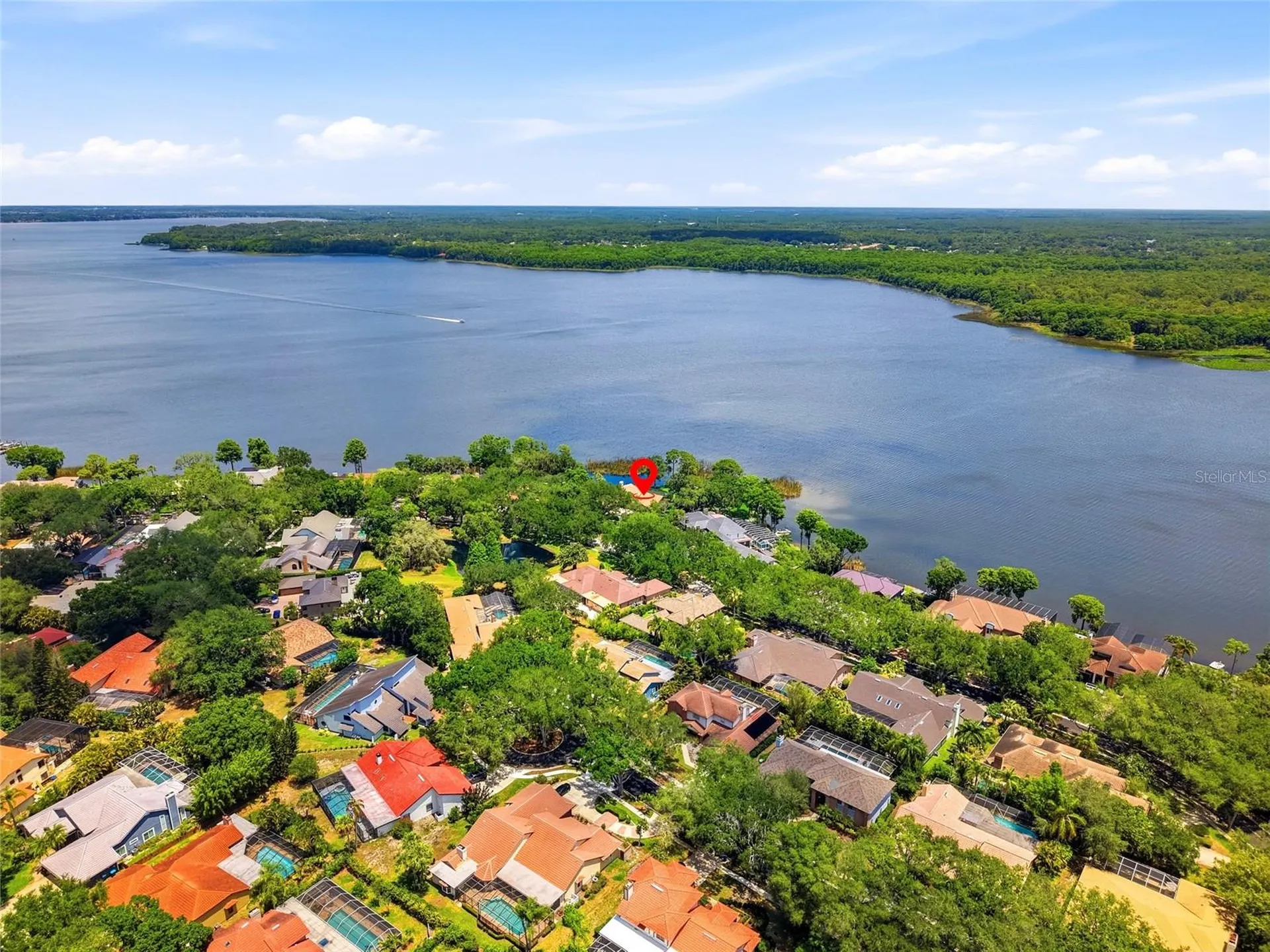 3493 Shoreline Circle Palm Harbor FL 34684
