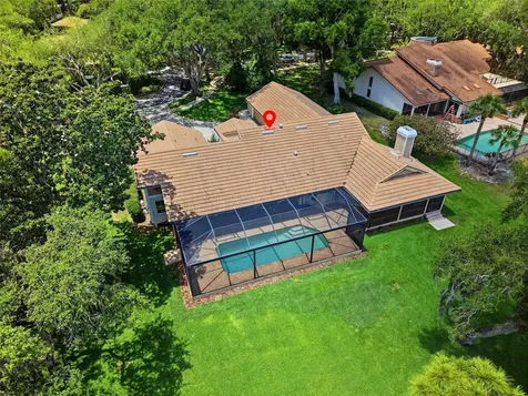 3493 Shoreline Circle Palm Harbor FL 34684