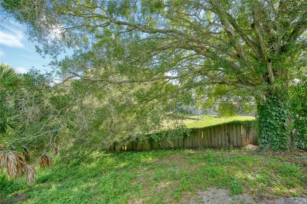 2751 Wilson Court Palm Harbor FL 34684