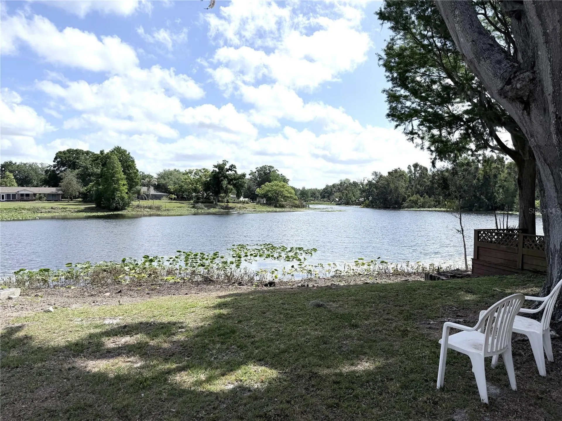 11505 N Rome Avenue Tampa FL 33612