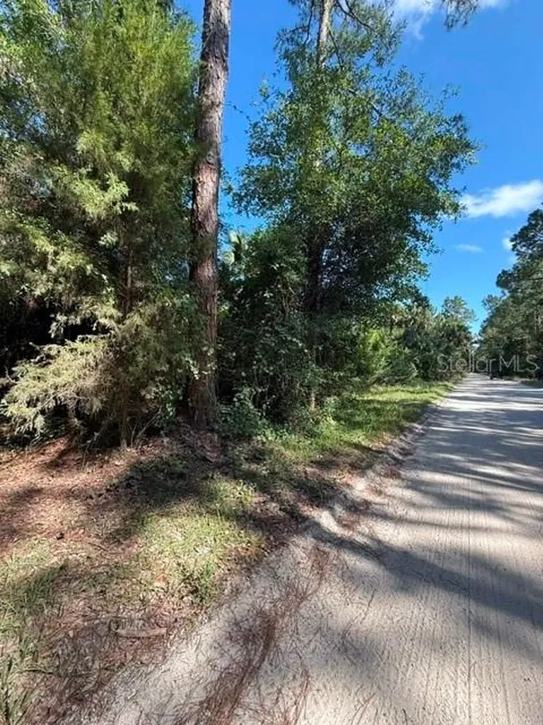 County Road 75 Bunnell FL 32110
