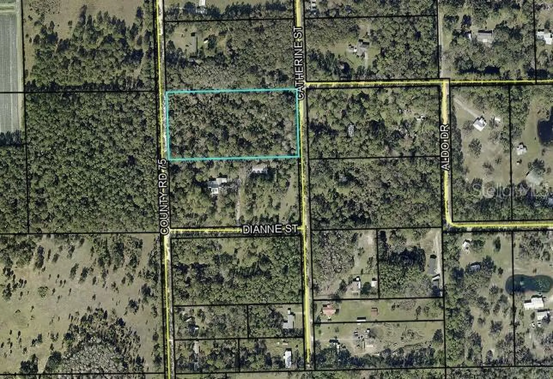 County Road 75 Bunnell FL 32110