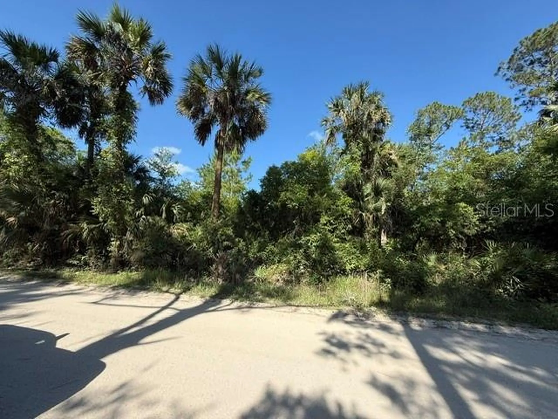 County Road 75 Bunnell FL 32110