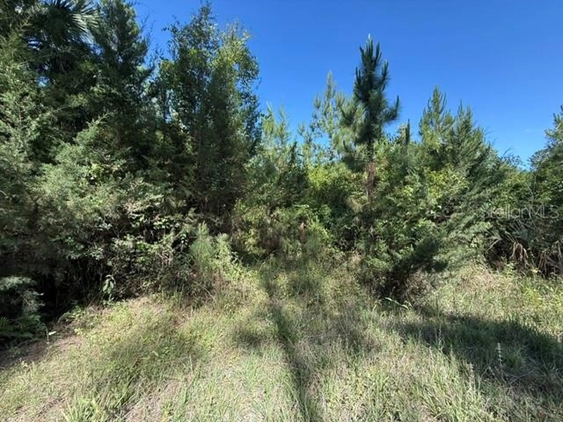 County Road 75 Bunnell FL 32110