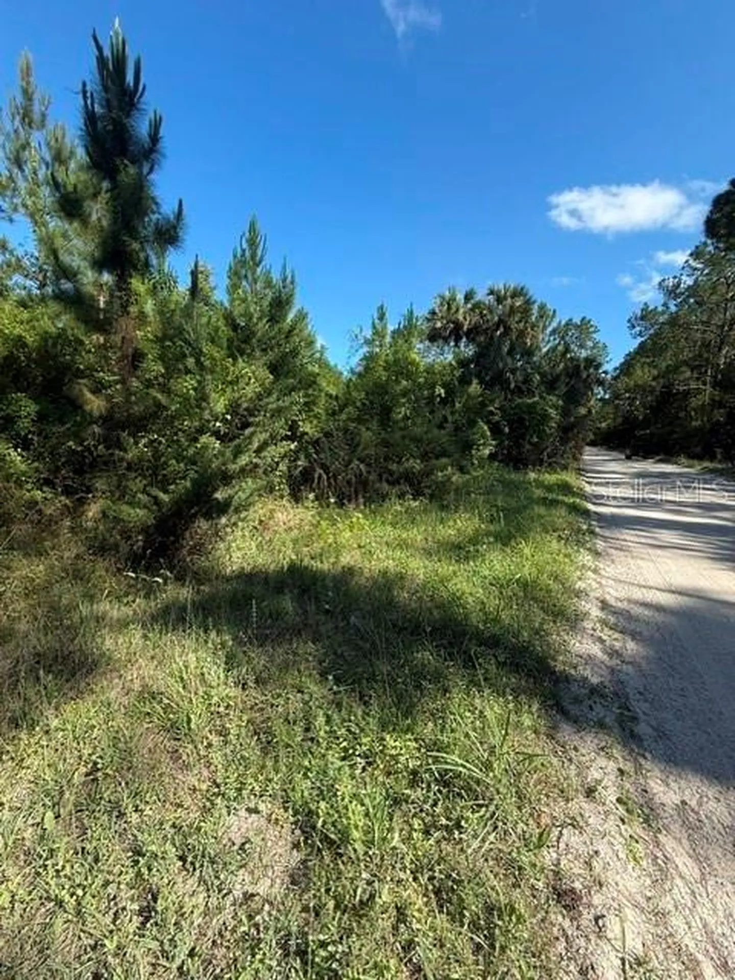 County Road 75 Bunnell FL 32110