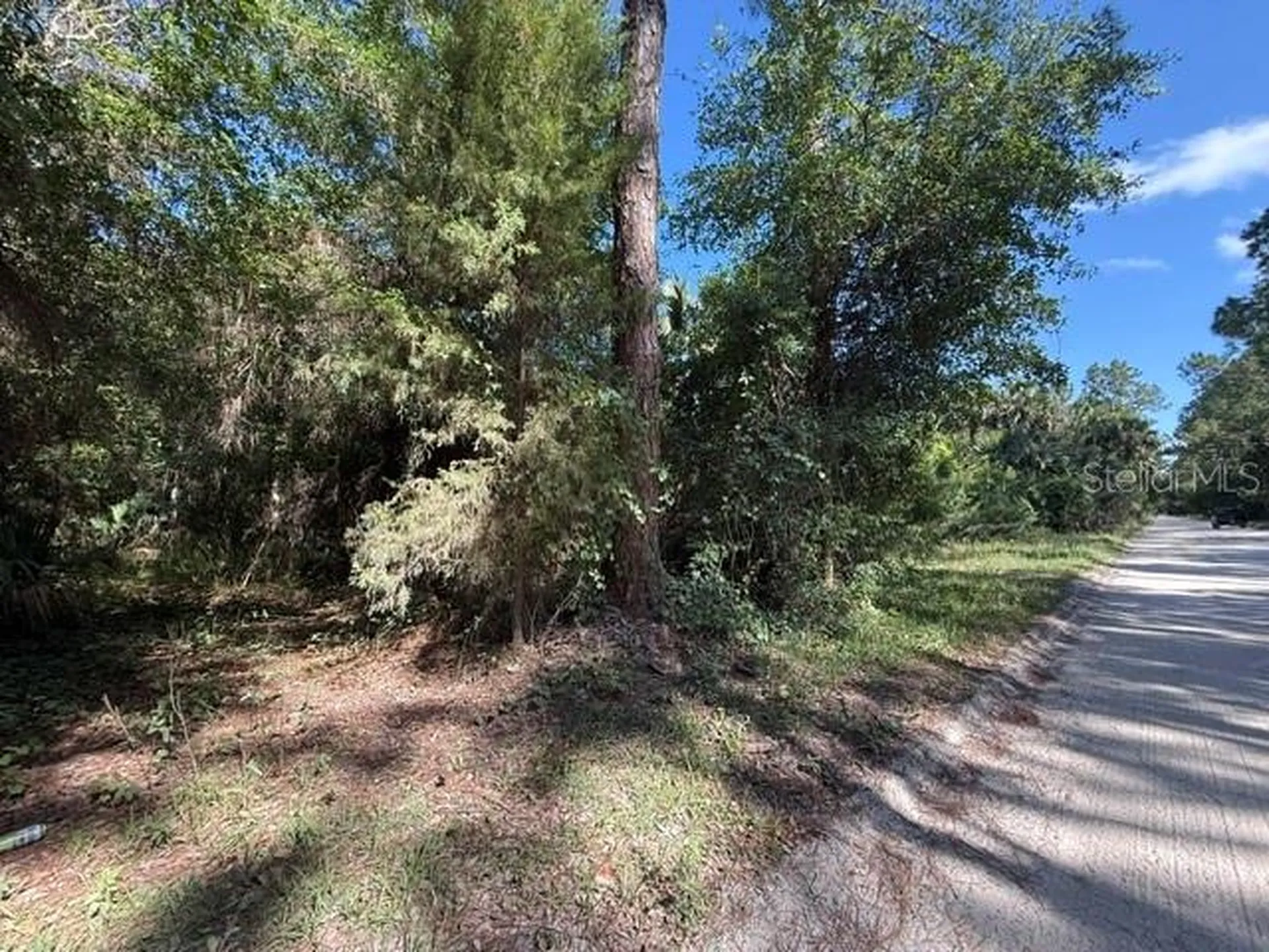 County Road 75 Bunnell FL 32110