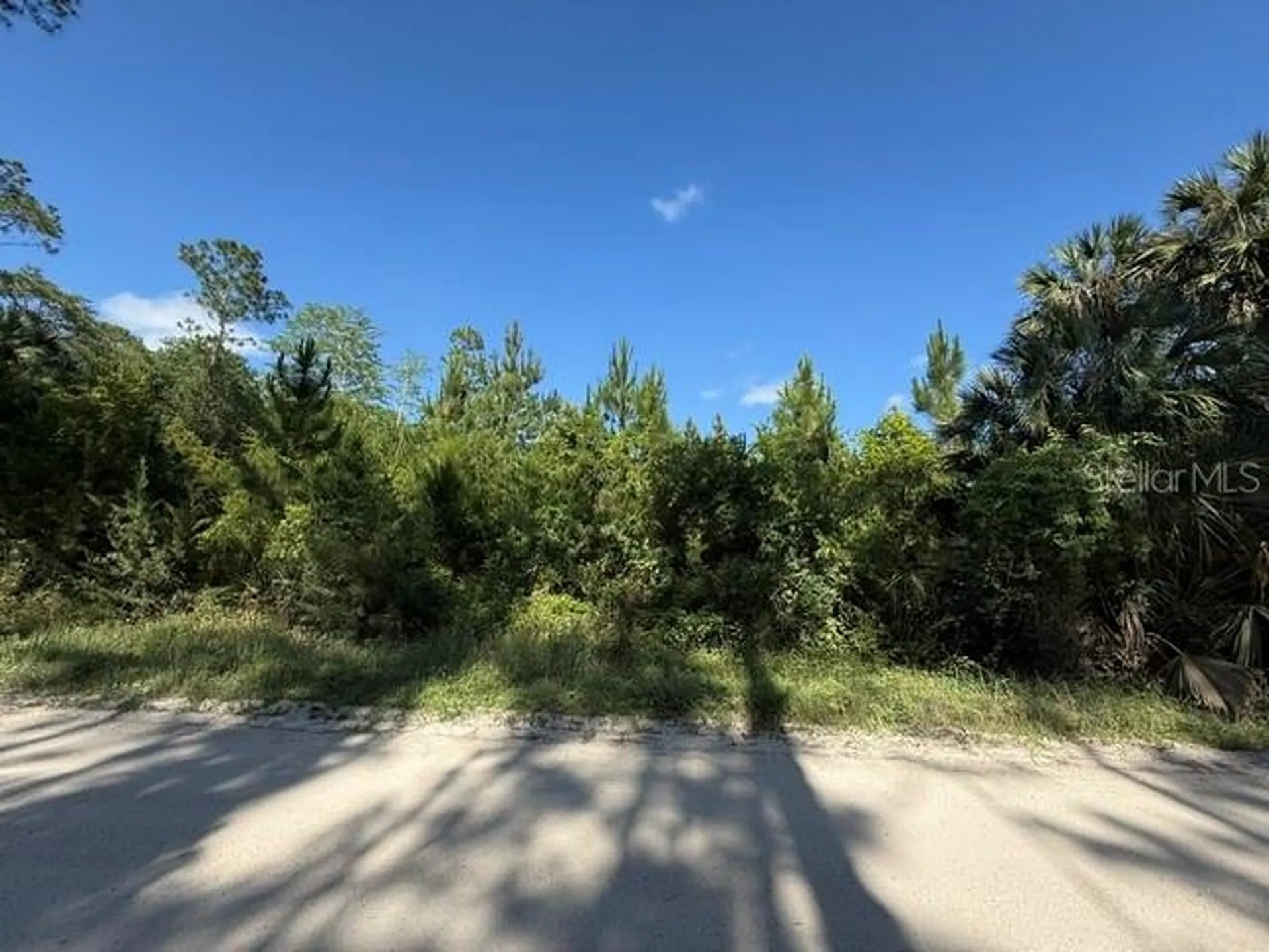 County Road 75 Bunnell FL 32110