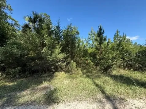 County Road 75 Bunnell FL 32110