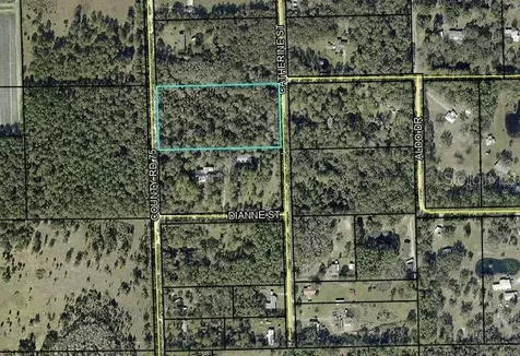 County Road 75 Bunnell FL 32110