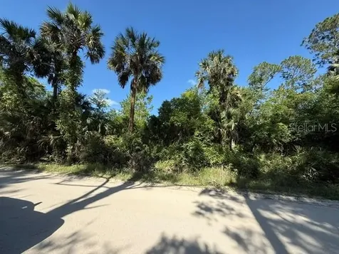 County Road 75 Bunnell FL 32110