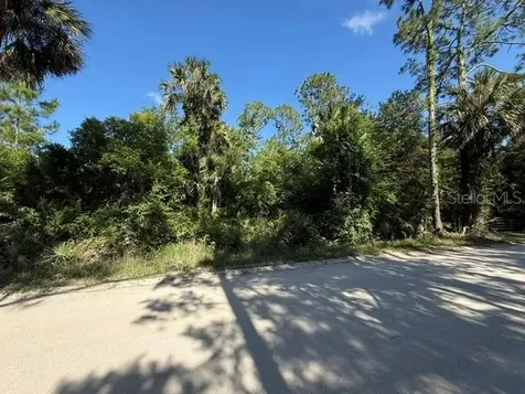 County Road 75 Bunnell FL 32110