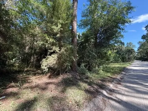 County Road 75 Bunnell FL 32110