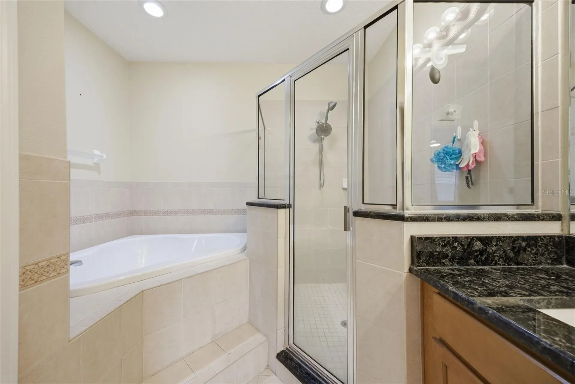 4532 Amberly Oaks Court Tampa FL 33614