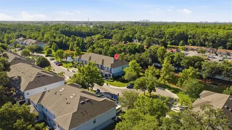 4532 Amberly Oaks Court Tampa FL 33614