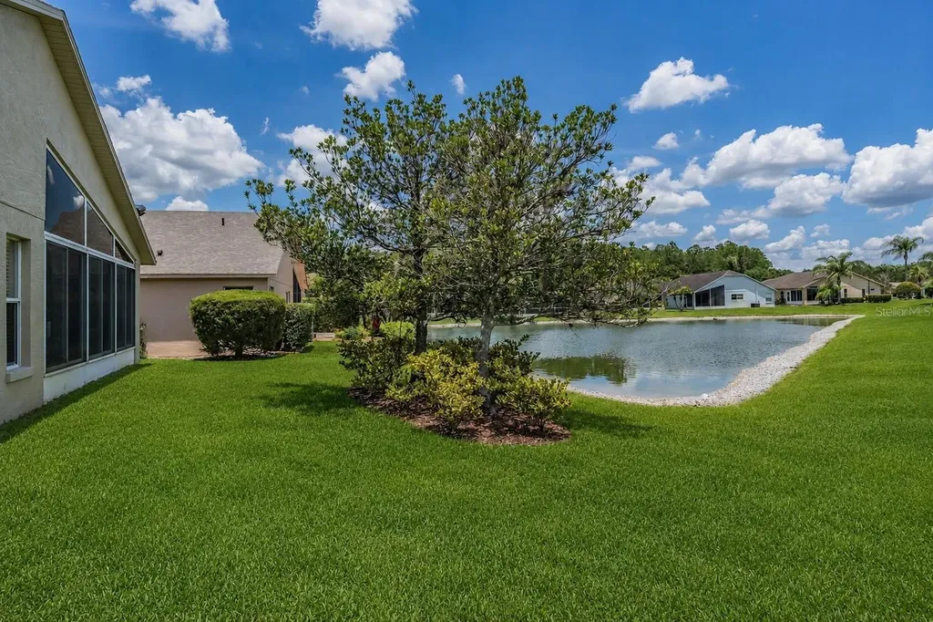 1032 Dustan Place Trinity FL 34655