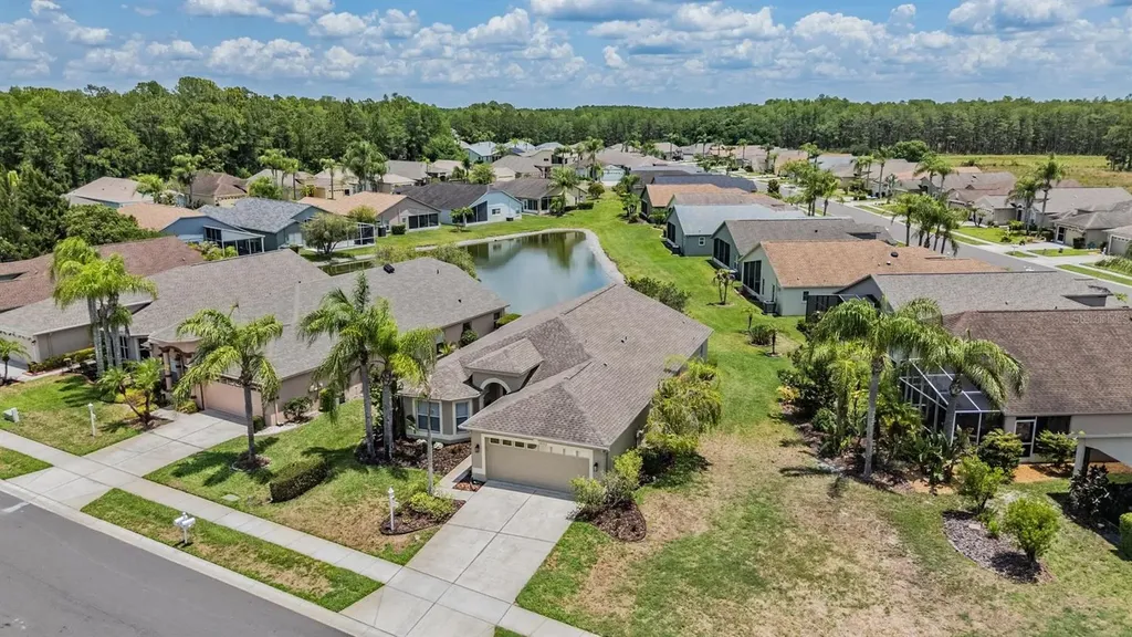 1032 Dustan Place Trinity FL 34655