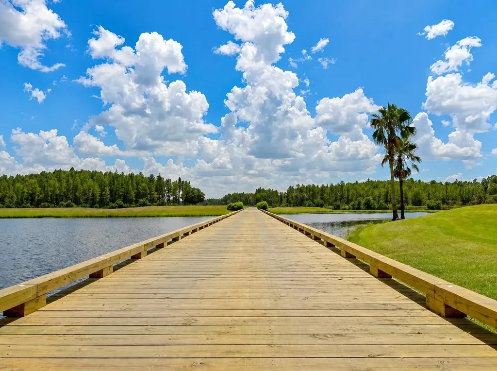 1032 Dustan Place Trinity FL 34655